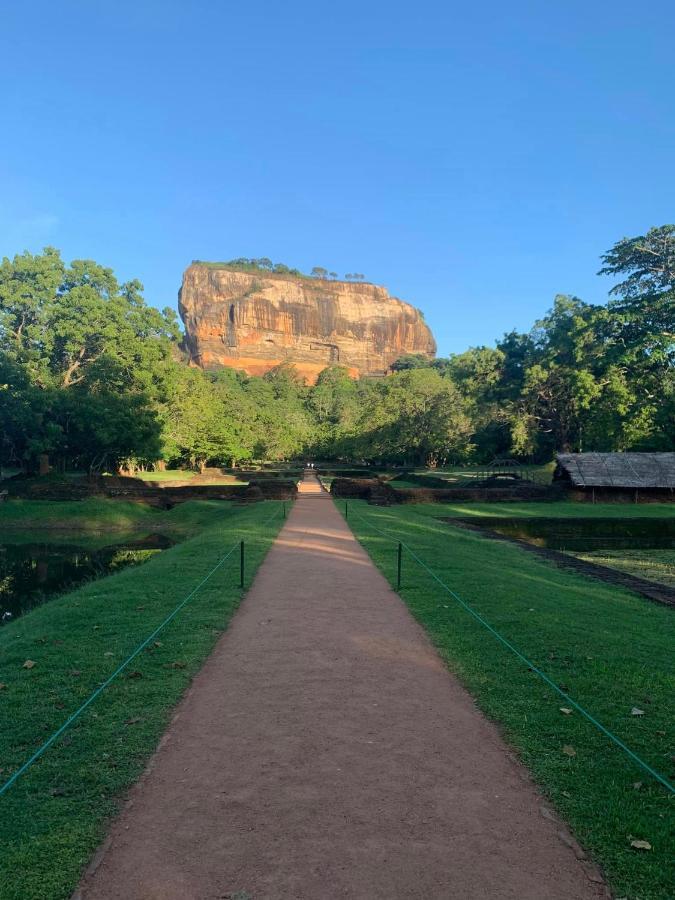 Serenity Villa Dambulla Sigiriya Eksteriør billede